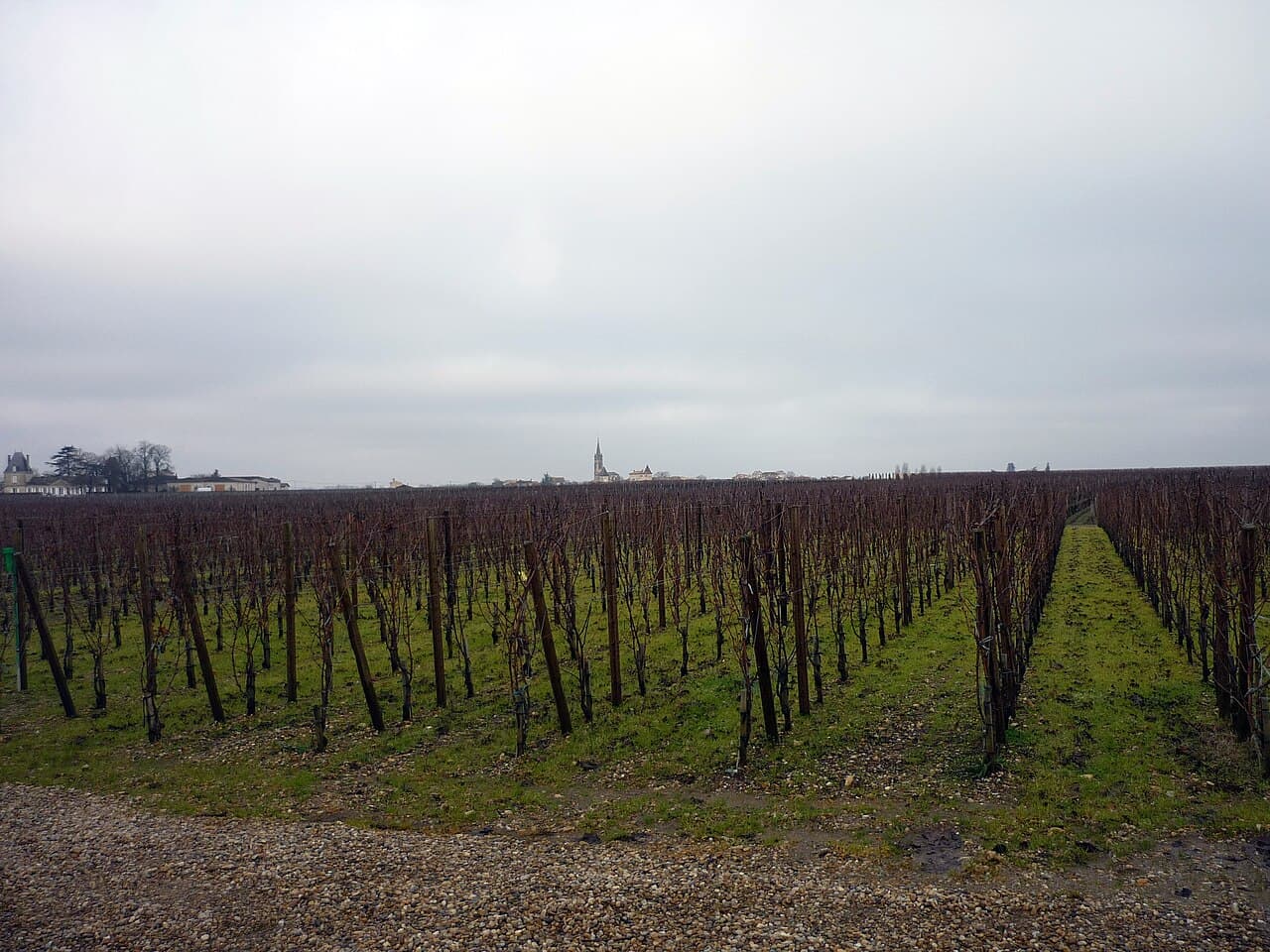 Wijngaard van Château L’Évangile in Pomerol