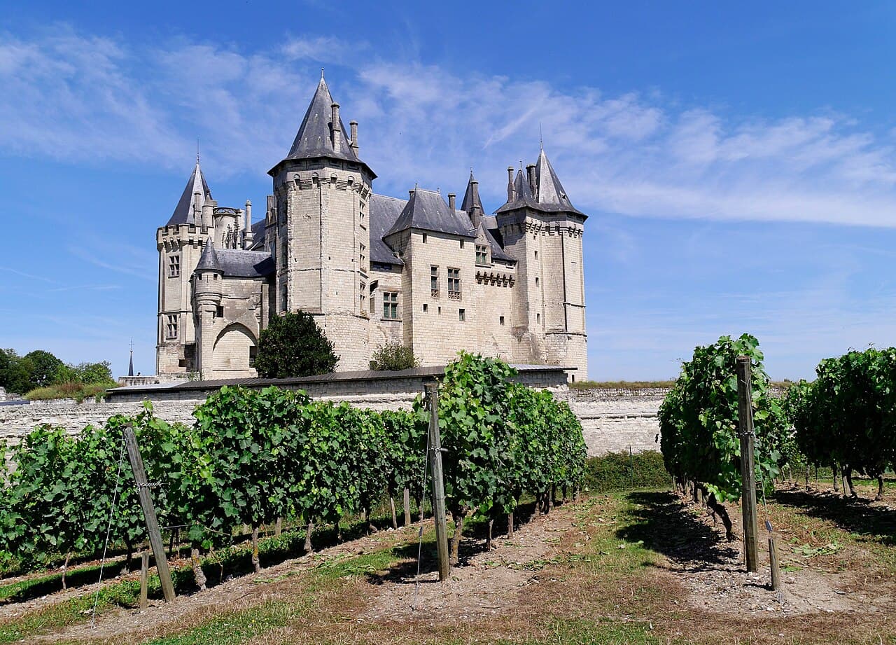 Wijngaard voor het kasteel van Saumur
