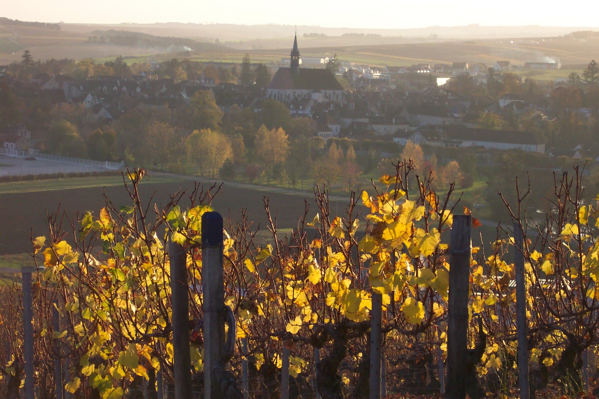 Wijngaarden van Chablis