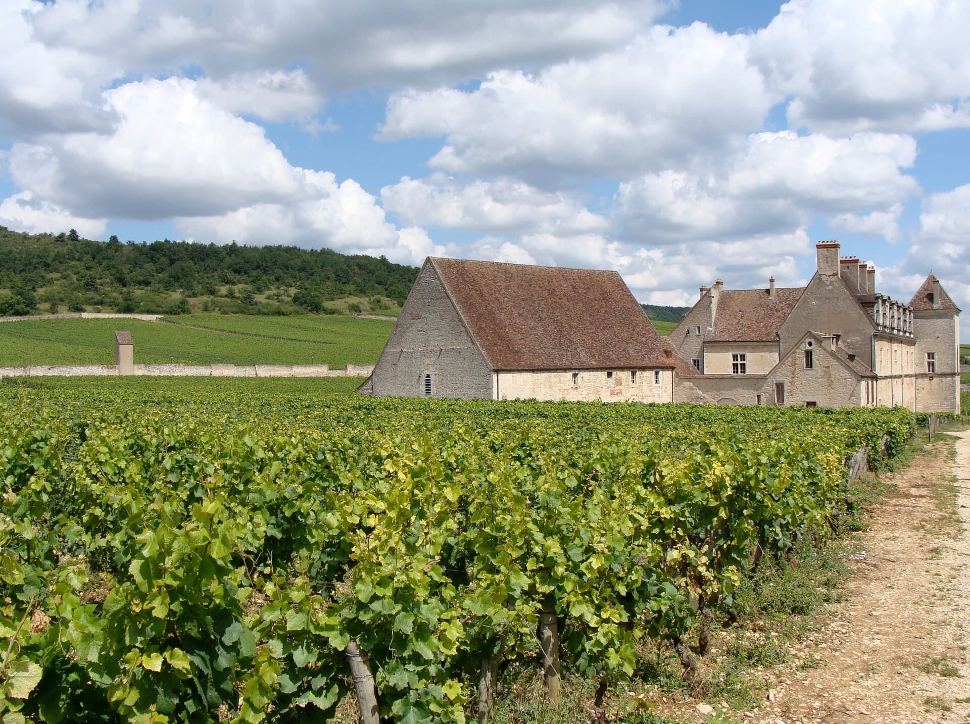 De wijngaard en het château van Clos de Vougeot