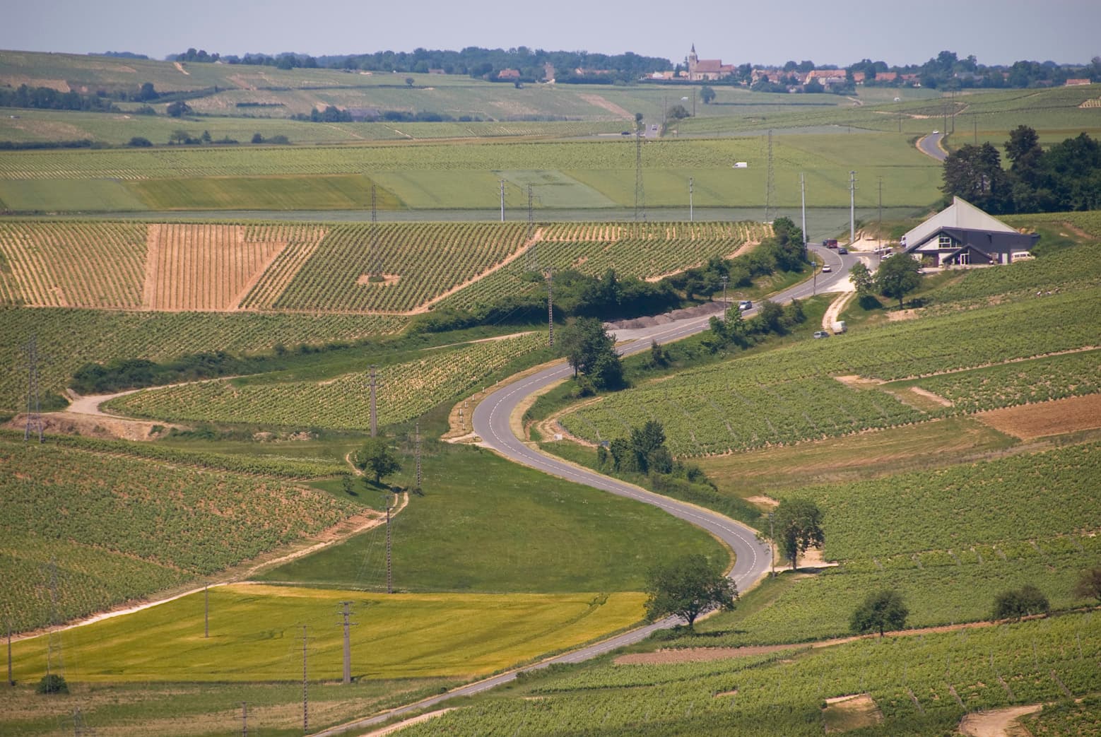 Wijngaarden op de heuvels van Sancerre
