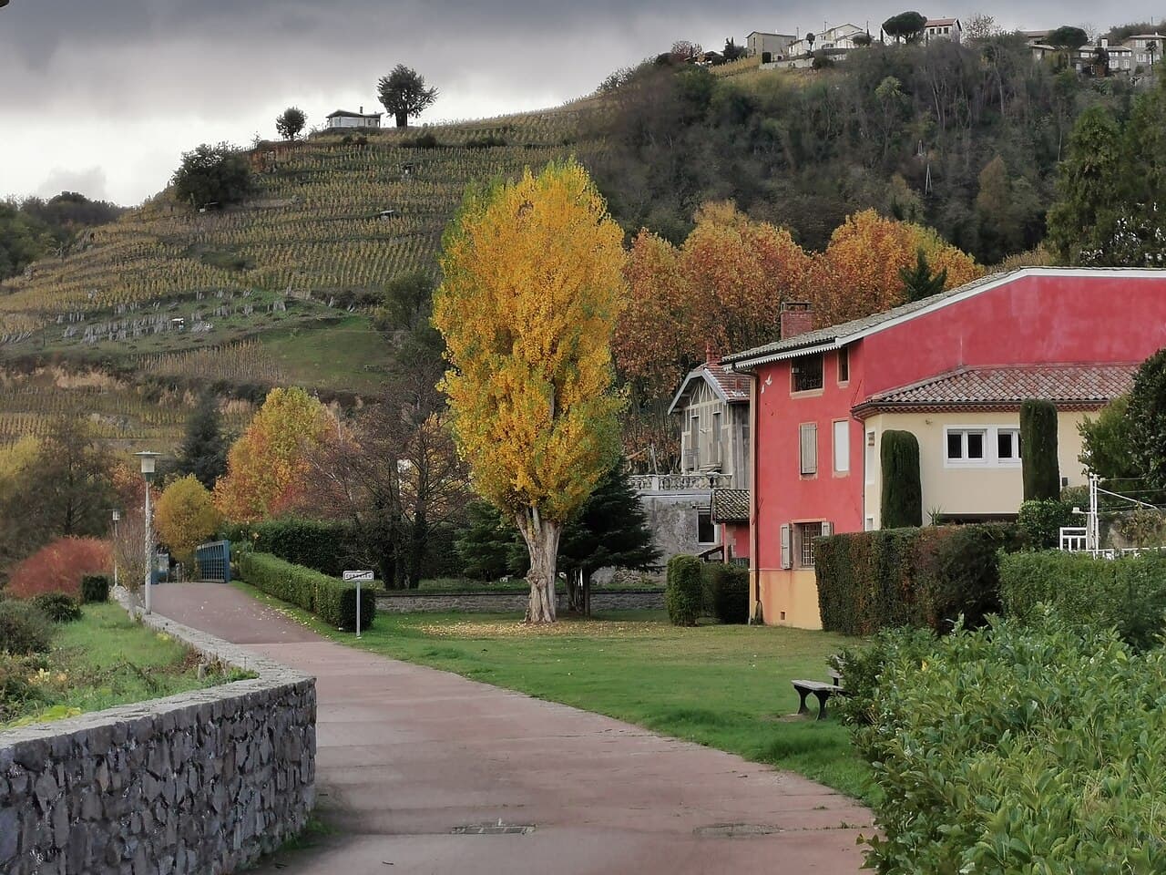 De Rhône bij Condrieu